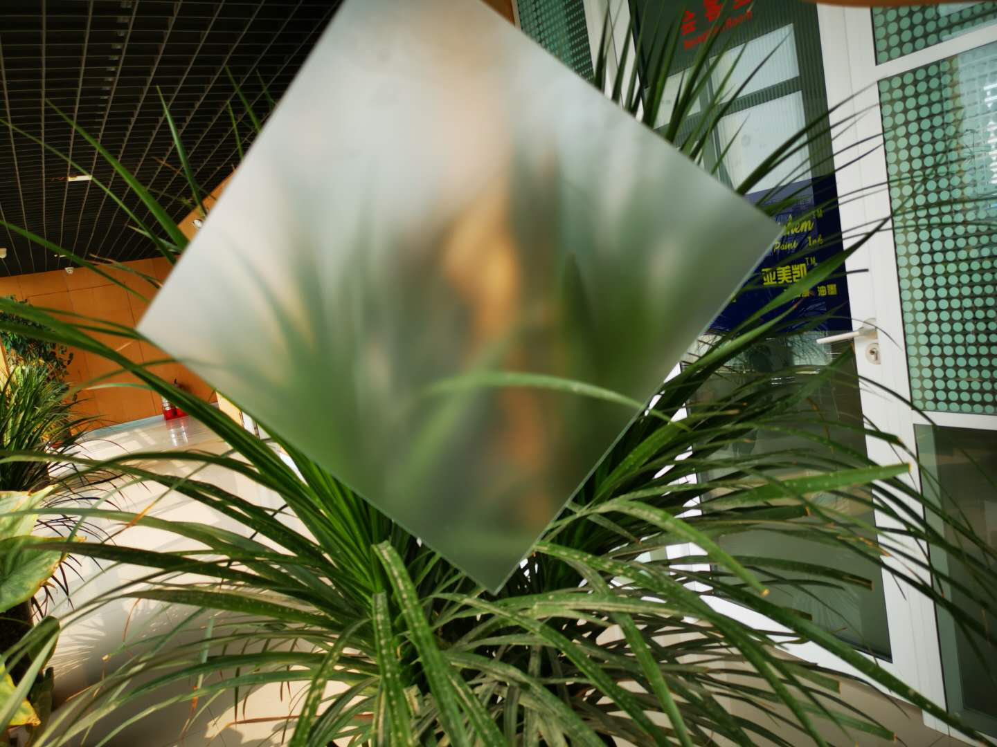 肌肤砂安博官网体育（中国）有限公司官网